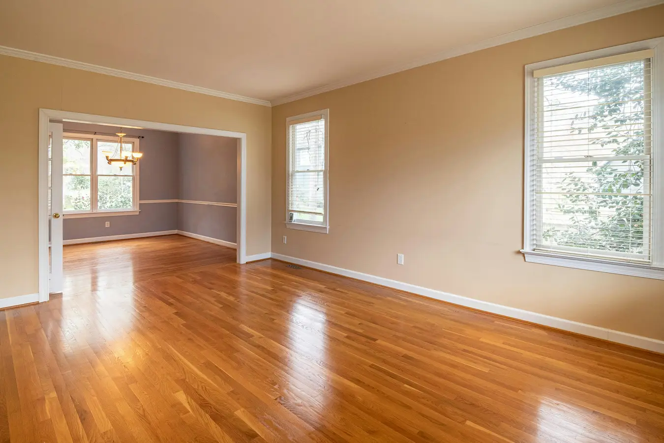 Move In / Move Out Cleaning